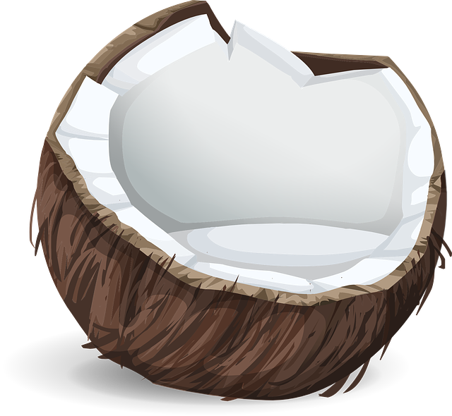 coconut-575780_640